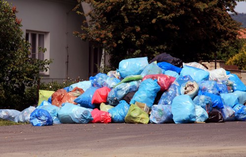 Satisfied homeowner with cleared space