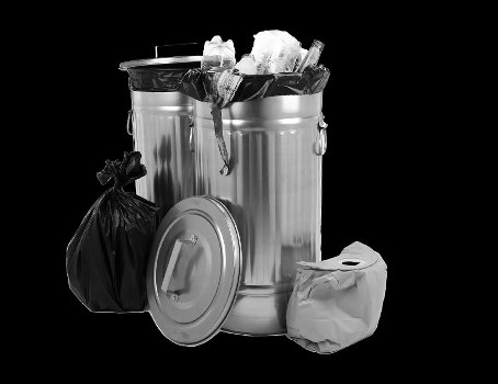 Professional waste clearance team working on site